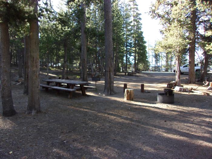 Campsite with table, fire ring, and grillH.G. Hogue site #42