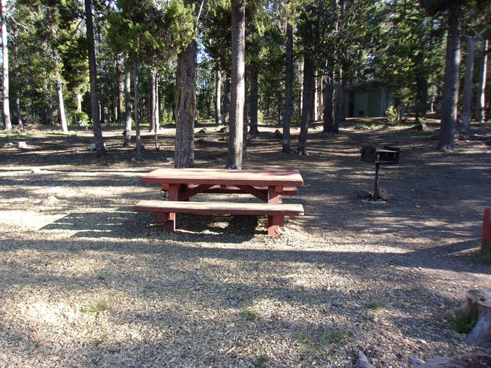 Campsite with grill, fire ring and tableH.G. Hogue site #52