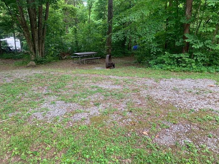 Green grass area with a brown circle fire ring and picnic table.A-15 camping space.