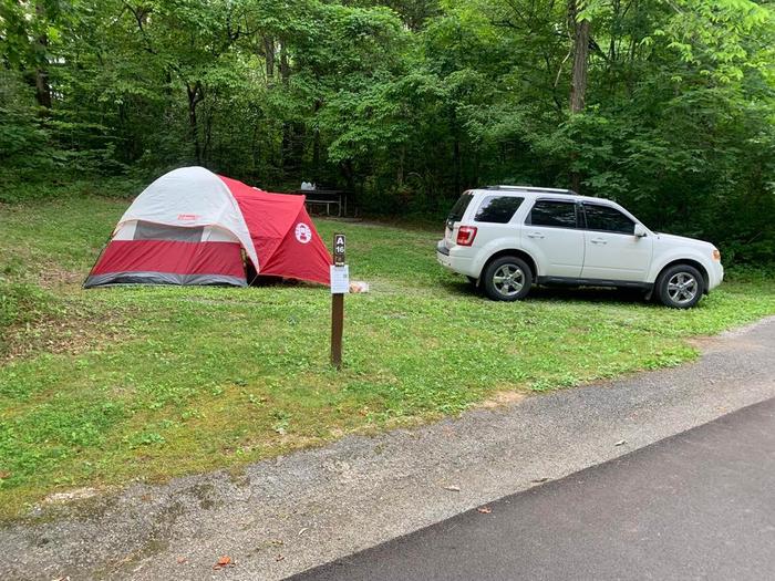 Green grass area with a white vehicle and white and red tent.A-16 camping space.