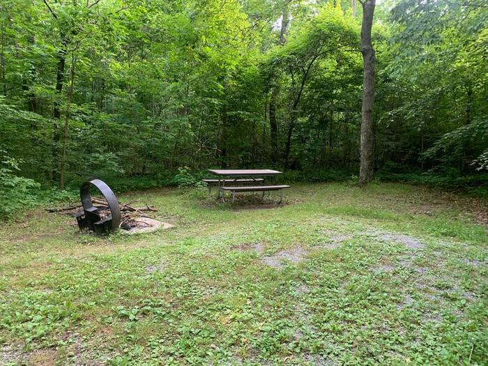 Green grass area with gravel and circle fire ring and picnic table.D-1 camping space.