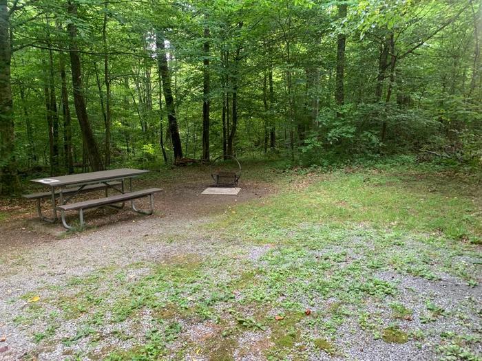 Gravel area with a circle fire ring and picnic table.D-2 camping space.