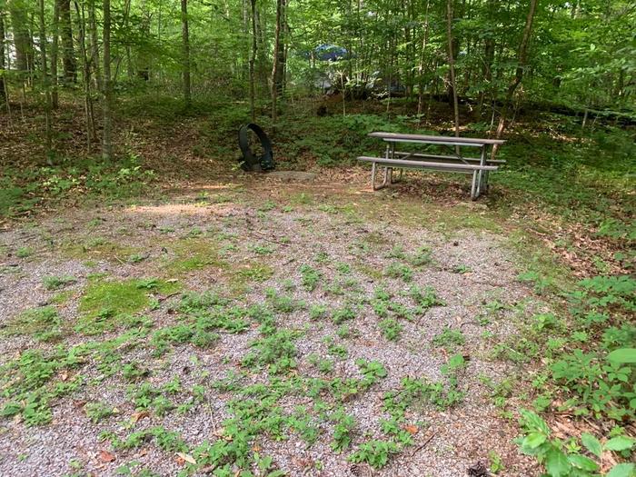 A gravel area with a brown circle fire ring and picnic table.D-3 camping space.