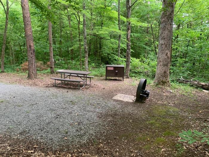 A gravel area with a circle fire, picnic table, and bear proof food storage container.D-4 camping space.