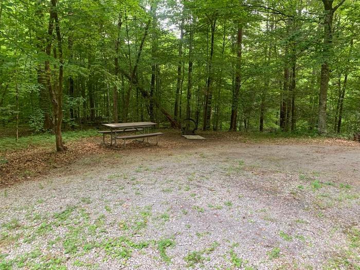 A gravel area with a brown picnic table and circle fire ring.D-5 camping space.