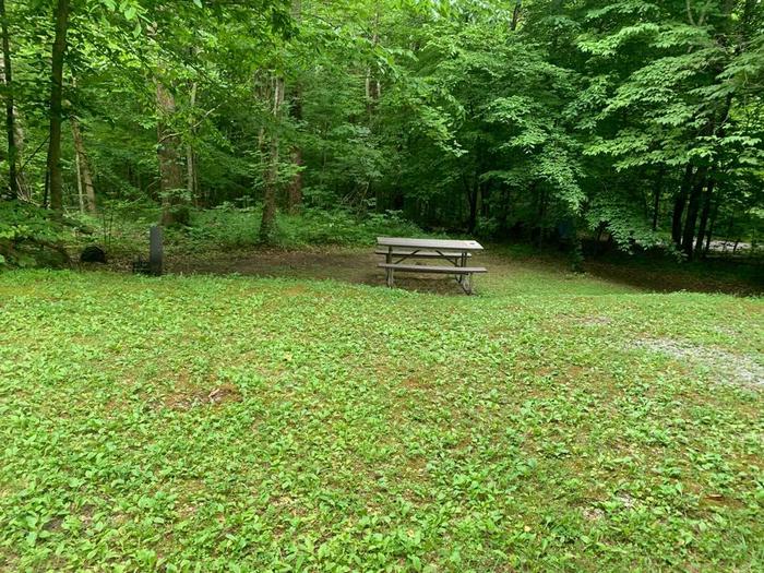 Green grass area with a brown picnic table and circle fire ring.D-9 camping space.