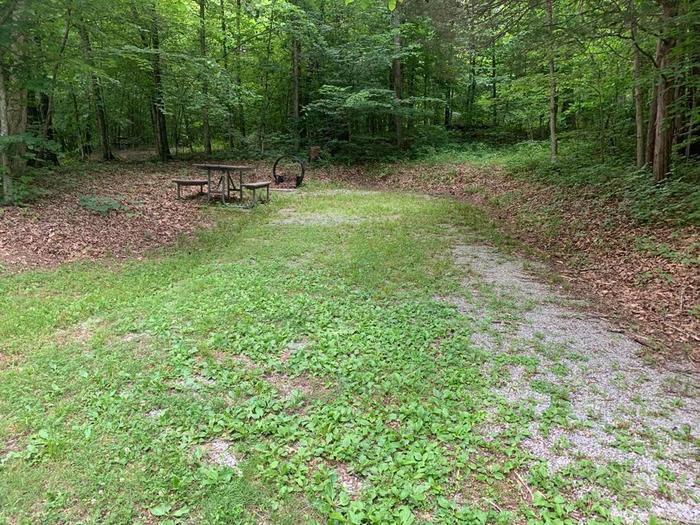 Green grass area with a brown picnic table and circle fire ring.D-12 camping space.