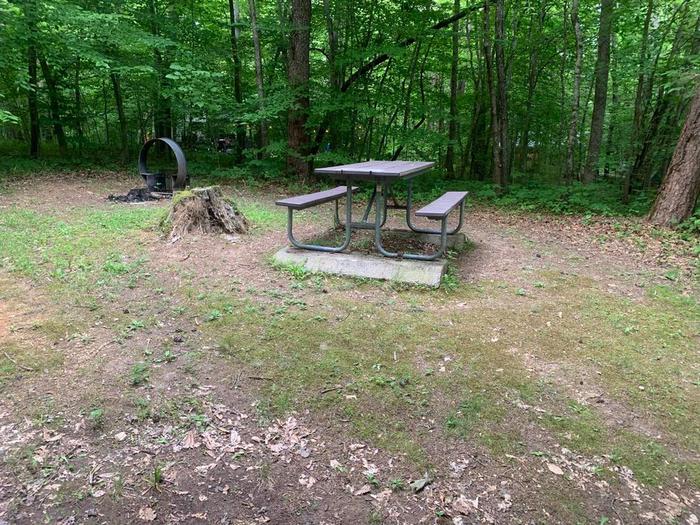 A brown picnic table and circle fire ring.D-14 circle fire ring and picnic table.
