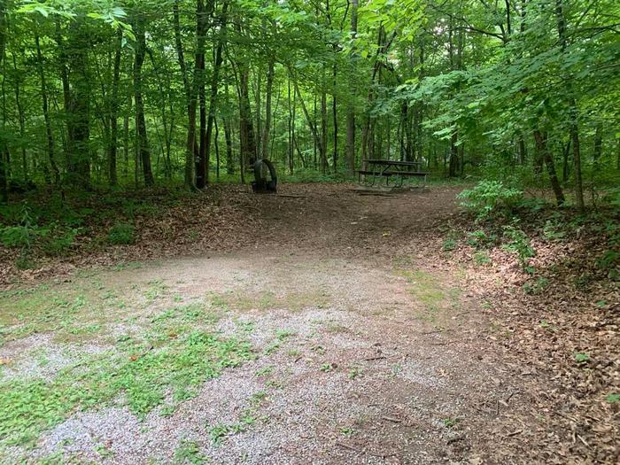 A gravel area with a brown picnic table and circle fire ring surrounded with green trees.D-16 camping space.