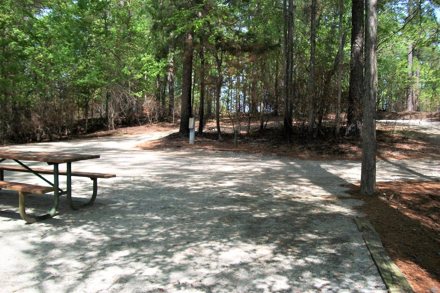 Site 8 camping pad