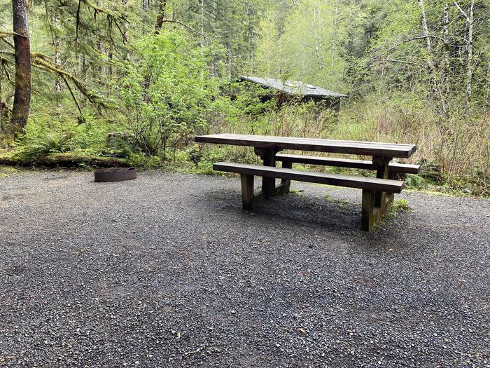 A photo of Site 030 of Loop LOOP B at COHO CAMPGROUND with Picnic Table, Fire Pit