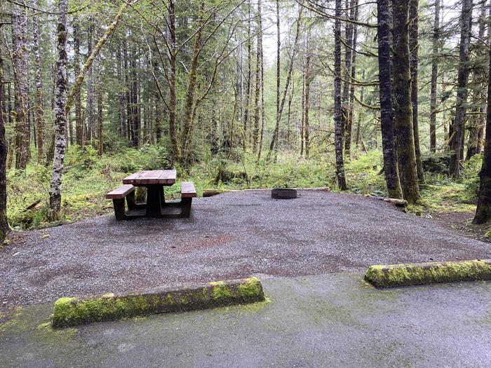 A photo of Site 028 of Loop LOOP B at COHO CAMPGROUND with Picnic Table, Fire Pit, Tent Pad
