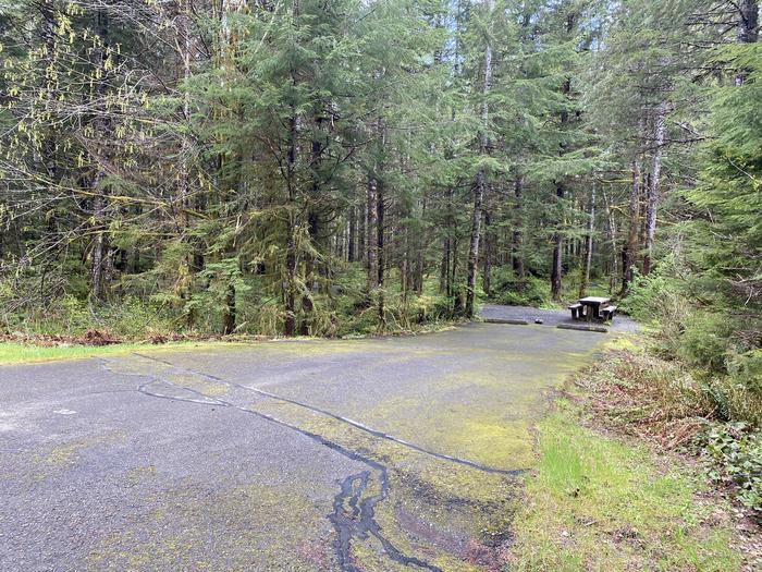 A photo of Site 030 of Loop LOOP B at COHO CAMPGROUND with No Amenities Shown