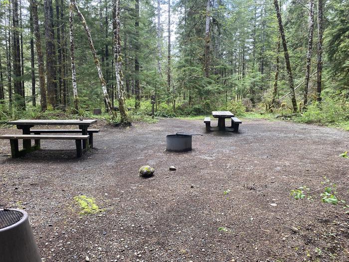 A photo of Site 053 of Loop HIKE-IN at COHO CAMPGROUND with Picnic Table, Fire Pit, Tent Pad