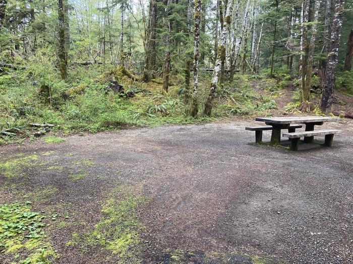 A photo of Site 053 of Loop HIKE-IN at COHO CAMPGROUND with Picnic Table, Tent Pad