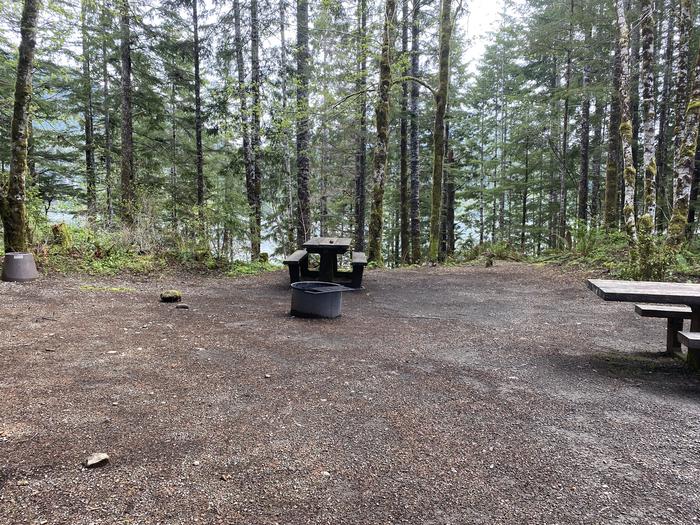 A photo of Site 053 of Loop HIKE-IN at COHO CAMPGROUND with Picnic Table, Fire Pit, Tent Pad