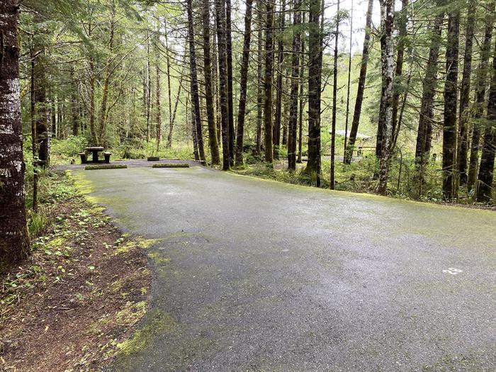 A photo of Site 028 of Loop LOOP B at COHO CAMPGROUND with No Amenities Shown