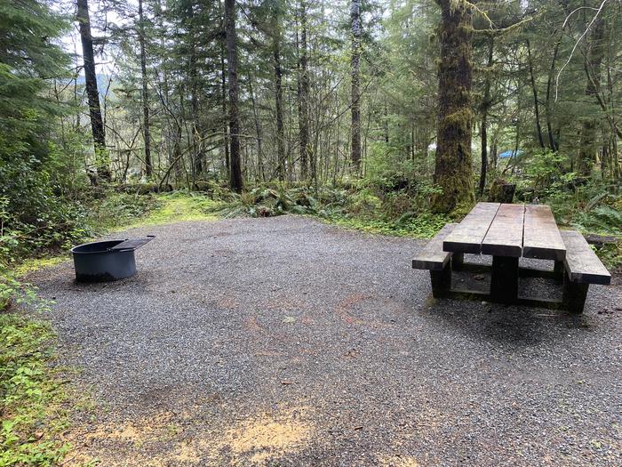 A photo of Site 054 of Loop HIKE-IN at COHO CAMPGROUND with Picnic Table, Fire Pit, Tent Pad
