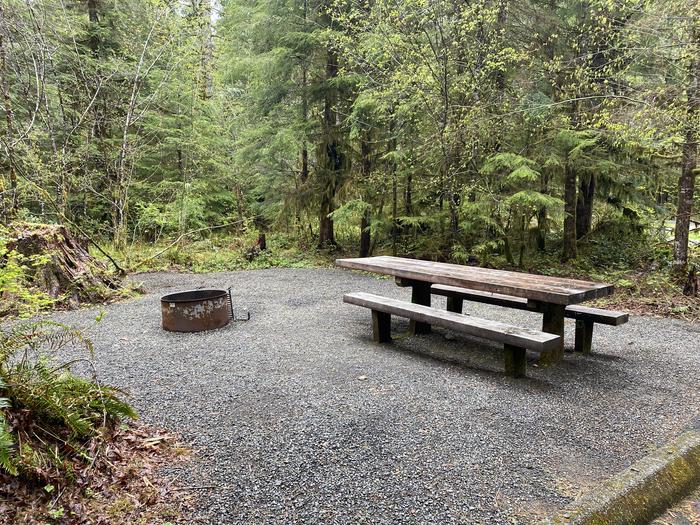 A photo of Site 013 of Loop LOOP A at COHO CAMPGROUND with Picnic Table, Fire Pit, Tent Pad
