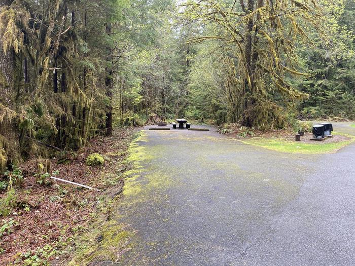 A photo of Site 013 of Loop LOOP A at COHO CAMPGROUND with No Amenities Shown