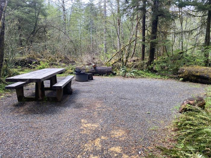 A photo of Site 048 of Loop HIKE-IN at COHO CAMPGROUND with Picnic Table, Fire Pit, Tent Pad