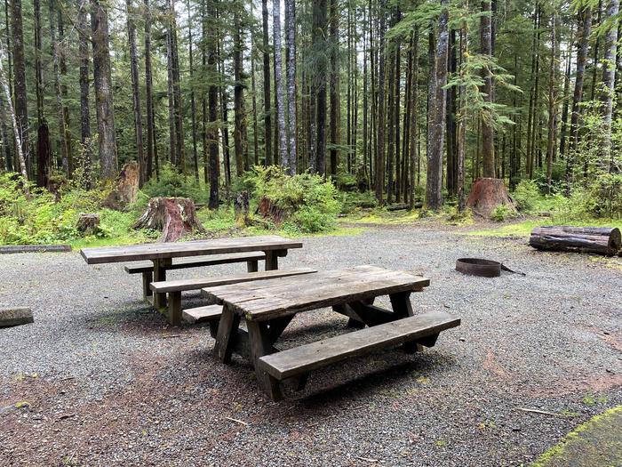 A photo of Site 002 of Loop LOOP A at COHO CAMPGROUND with Picnic Table, Fire Pit, Tent Pad