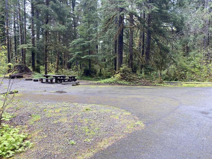 A photo of Site 002 of Loop LOOP A at COHO CAMPGROUND with No Amenities Shown