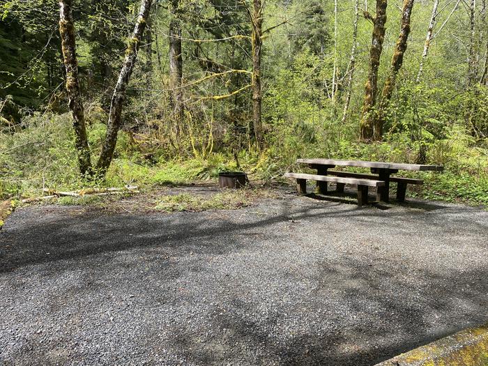 A photo of Site 045 of Loop LOOP B at COHO CAMPGROUND with Picnic Table, Fire Pit, Tent Pad