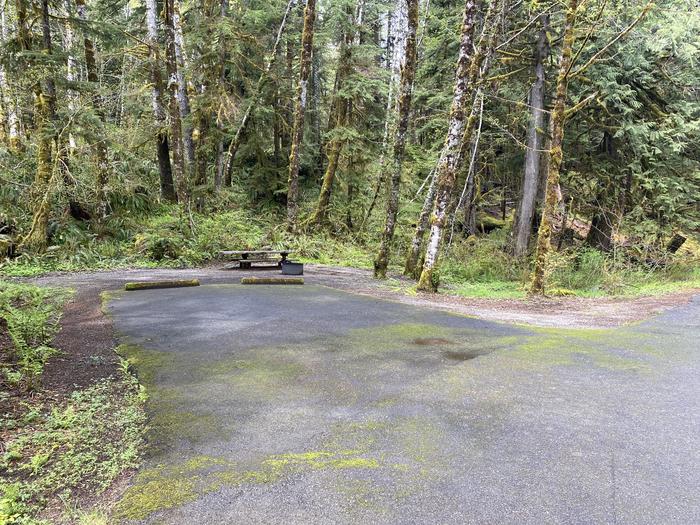 A photo of Site 038 of Loop LOOP B at COHO CAMPGROUND with No Amenities Shown