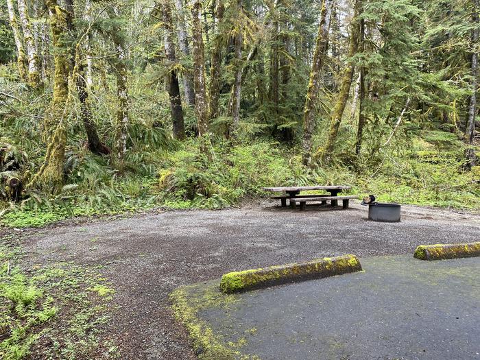 A photo of Site 038 of Loop LOOP B at COHO CAMPGROUND with Picnic Table, Fire Pit, Tent Pad