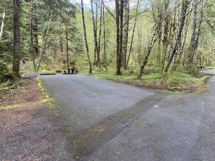 A photo of Site 045 of Loop LOOP B at COHO CAMPGROUND with No Amenities Shown