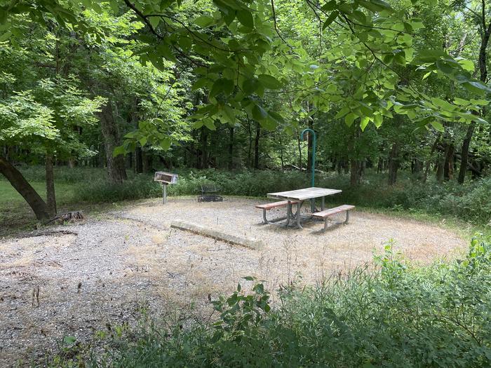 A photo of Site 307 of Loop OAK CAMPGROUND at BLOOMINGTON EAST  with Picnic Table, Fire Pit, Shade, Lantern Pole