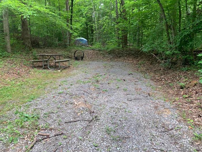 A gravel area with a brown circle fire ring and brown picnic table.D-25 camping space.