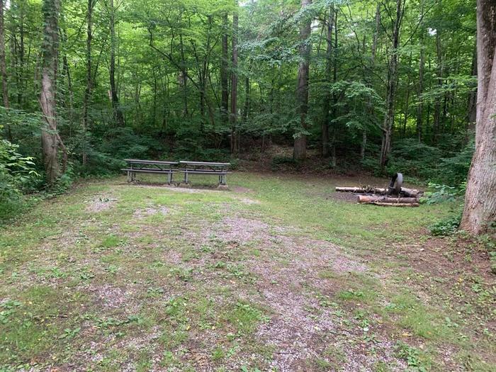 A green grass area with a brown circle fire ring and two brown picnic tables.D-28 camping space.