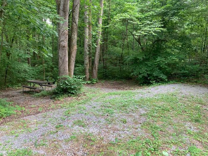A gravel area surrounded with tall trees and a brown picnic table.D-33 camping space.
