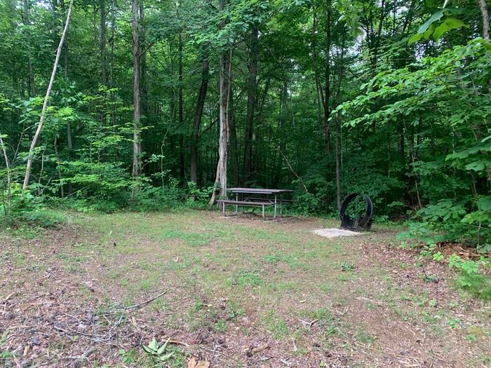 A grassy area surrounded with tall trees with a brown circle fire ring and brown picnic table.D-34 camping space.