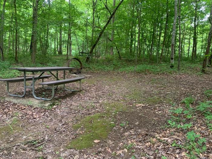A dirt area with a brown circle fire ring and brown picnic table.E-11 camping space.
