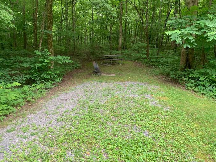 A gravel area with a brown circle fire ring and brown picnic table.E-14 camping space.