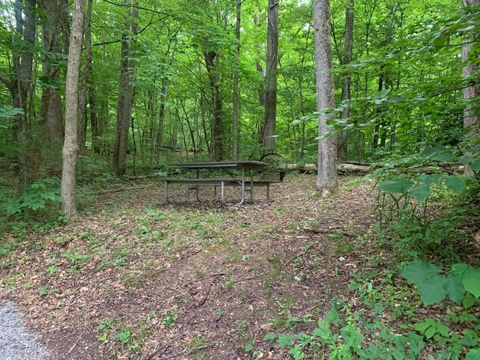 A brown picnic table and brown circle fire ring surrounded with green trees.E-18 camping space with an incline to the picnic table and fire ring.