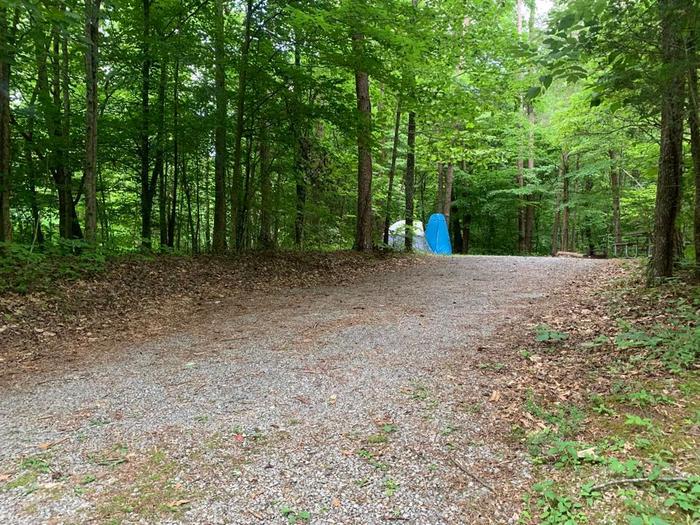 A gravel area surrounded with green trees and a blue tent in the back.E-24 camping space.