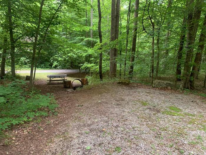 A gravel area with a brown circle fire ring and brown picnic table.E-29 camping space.