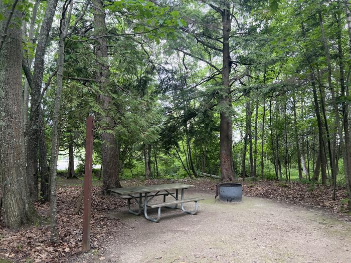 A photo of Site X11 of Loop MANAGEMENT SITES at BREVOORT LAKE CAMPGROUND with Picnic Table, Fire Pit, Lantern Pole
