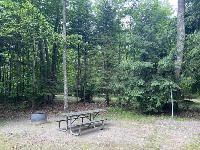 A photo of Site X15 of Loop MANAGEMENT SITES at BREVOORT LAKE CAMPGROUND with Picnic Table, Fire Pit, Lantern Pole