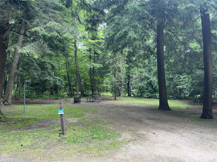 A photo of Site X17 of Loop MANAGEMENT SITES at BREVOORT LAKE CAMPGROUND with Picnic Table, Fire Pit, Shade, Lantern Pole