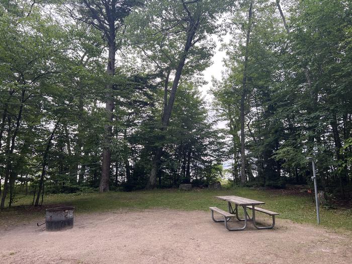 A photo of Site 013 of Loop Sites 13-49 at BREVOORT LAKE CAMPGROUND with Picnic Table, Fire Pit, Waterfront, Lantern Pole