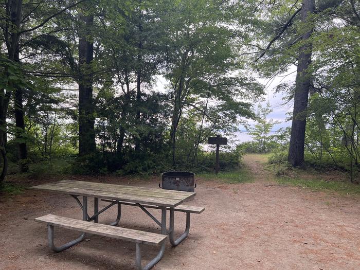 A photo of Site 003 of Loop Sites 1-12, 71 at BREVOORT LAKE CAMPGROUND with Picnic Table, Fire Pit, Shade, Waterfront