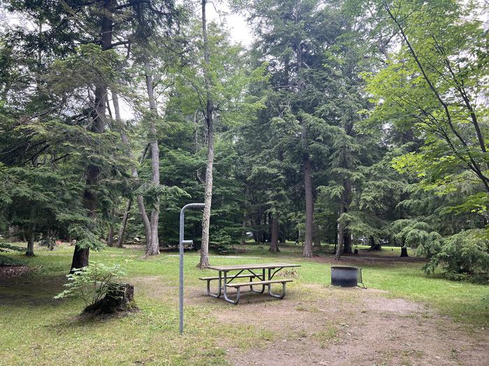 A photo of Site X20 of Loop MANAGEMENT SITES at BREVOORT LAKE CAMPGROUND with Picnic Table, Fire Pit, Shade, Lantern Pole