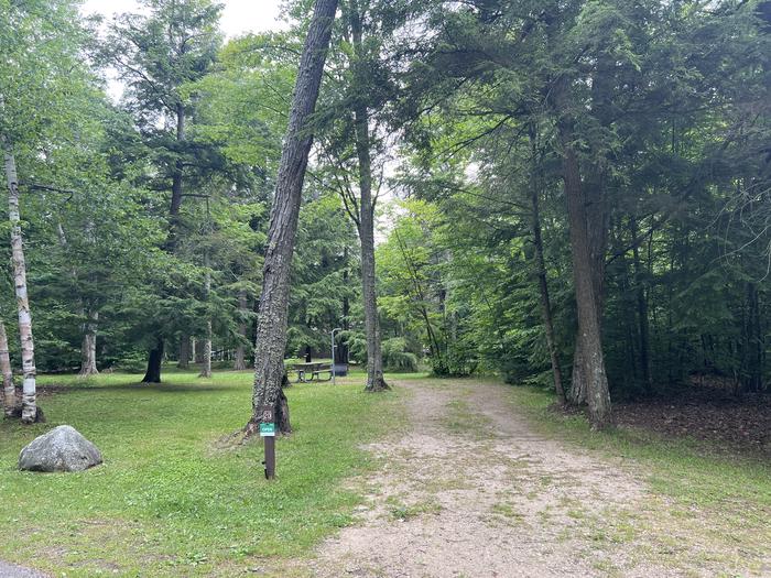 A photo of Site X20 of Loop MANAGEMENT SITES at BREVOORT LAKE CAMPGROUND with Picnic Table, Fire Pit, Shade, Lantern Pole