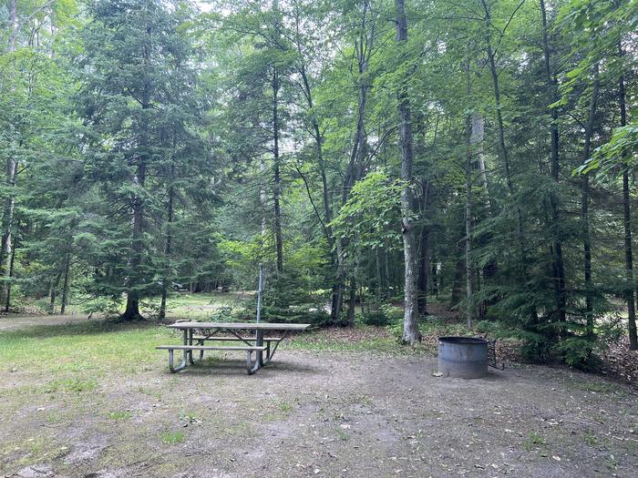 A photo of Site X48 of Loop MANAGEMENT SITES at BREVOORT LAKE CAMPGROUND with Picnic Table, Fire Pit, Shade, Lantern Pole