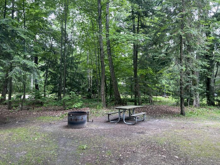 A photo of Site X17 of Loop MANAGEMENT SITES at BREVOORT LAKE CAMPGROUND with Picnic Table, Fire Pit, Shade